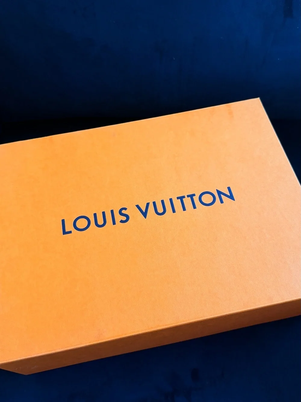 Louis Vuitton OnTheGo PM Noir Hangbag